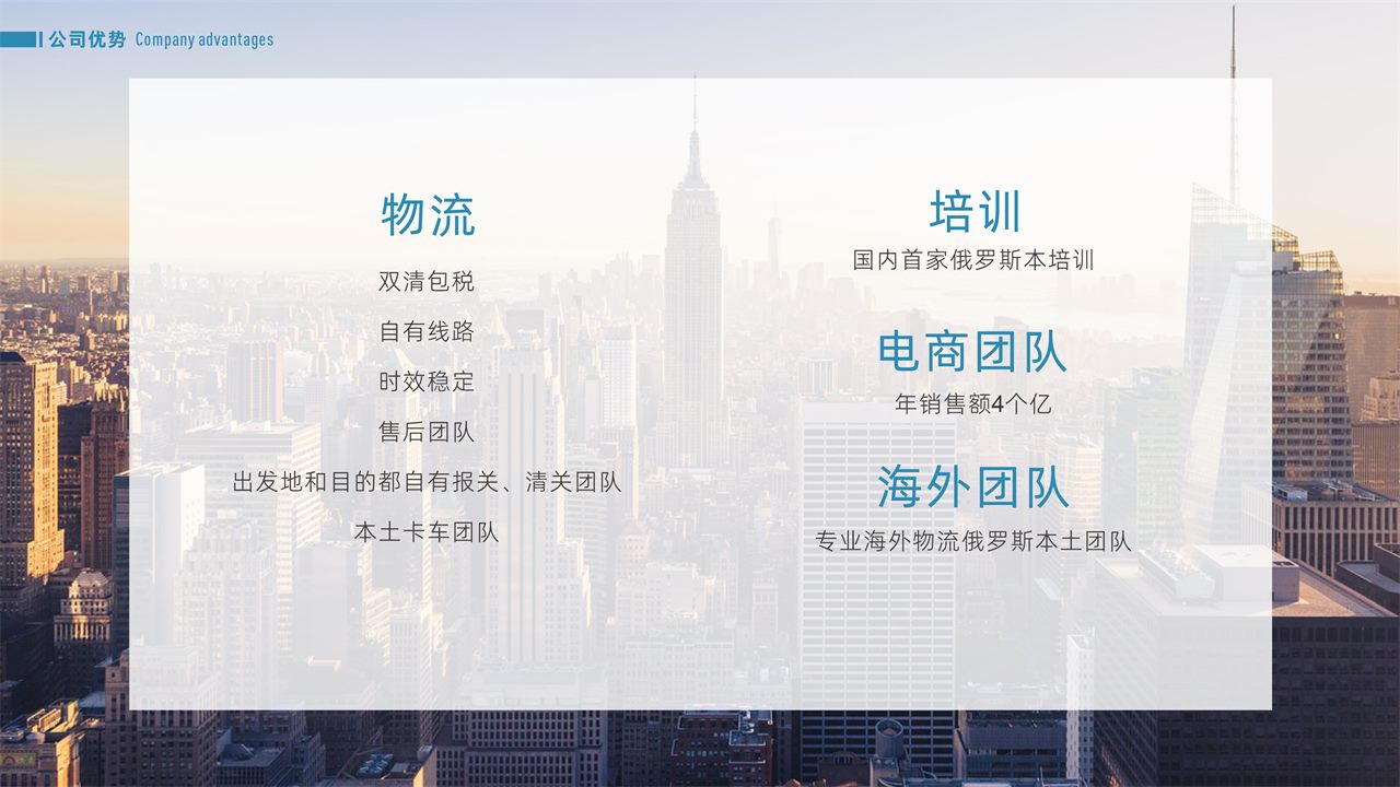公司优势与服务能力图